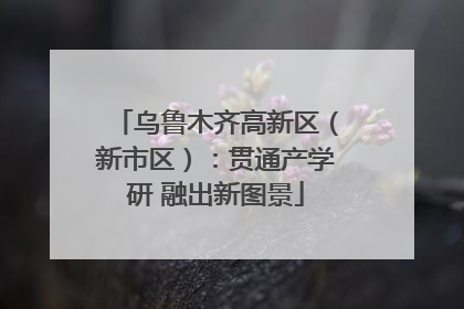 乌鲁木齐高新区（新市区）：贯通产学研 融出新图景