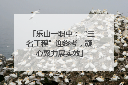 乐山一职中：“三名工程”迎终考，凝心聚力展实效