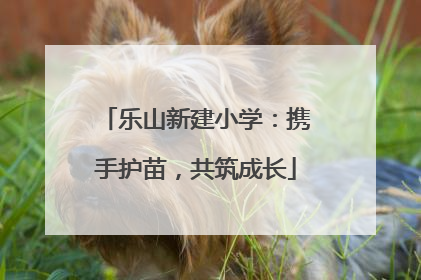 乐山新建小学：携手护苗，共筑成长