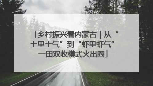 乡村振兴看内蒙古｜从“土里土气”到“虾里虾气” 一田双收模式火出圈