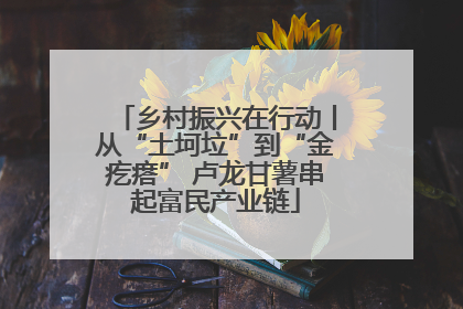 乡村振兴在行动丨从“土坷垃”到“金疙瘩” 卢龙甘薯串起富民产业链