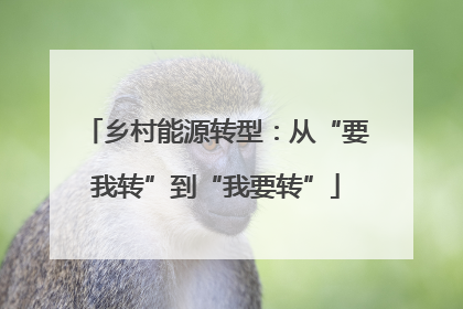 乡村能源转型：从“要我转”到“我要转”
