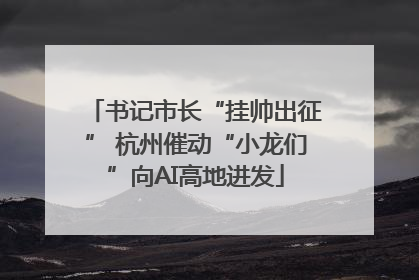 书记市长“挂帅出征” 杭州催动“小龙们”向AI高地进发