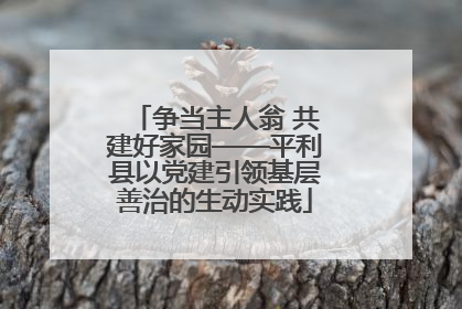 争当主人翁 共建好家园——平利县以党建引领基层善治的生动实践