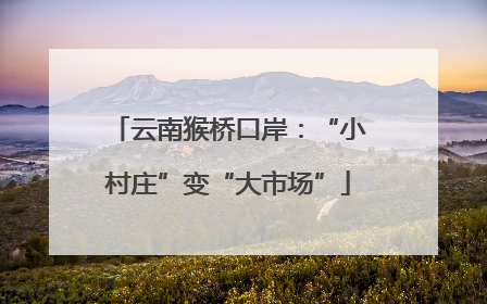 云南猴桥口岸：“小村庄”变“大市场”