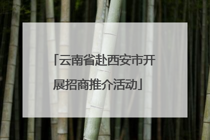 云南省赴西安市开展招商推介活动