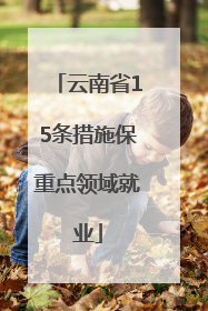 云南省15条措施保重点领域就业
