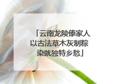 云南龙陵傣家人以古法草木灰制粽 染就独特乡愁