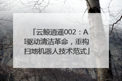 云鲸逍遥002：AI驱动清洁革命，重构扫地机器人技术范式