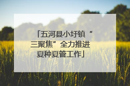 五河县小圩镇“三聚焦”全力推进夏种夏管工作