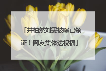 井柏然刘雯被曝已领证！网友集体送祝福