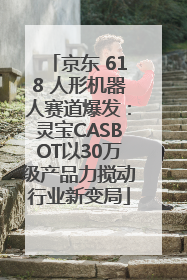 京东 618 人形机器人赛道爆发：灵宝CASBOT以30万级产品力搅动行业新变局