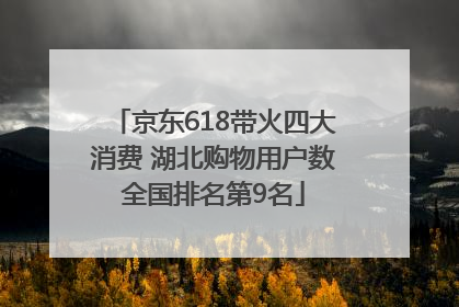 京东618带火四大消费 湖北购物用户数全国排名第9名