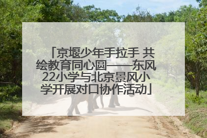 京堰少年手拉手 共绘教育同心圆——东风22小学与北京景风小学开展对口协作活动