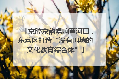 京腔京韵唱响黄河口，东营区打造“没有围墙的文化教育综合体”