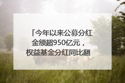 今年以来公募分红金额超950亿元，权益基金分红同比翻倍｜招财猫