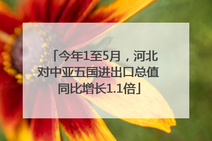 今年1至5月，河北对中亚五国进出口总值同比增长1.1倍