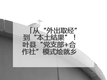 从“外出取经”到“本土结果”！叶县“党支部+合作社”模式绘就乡村振兴新图景