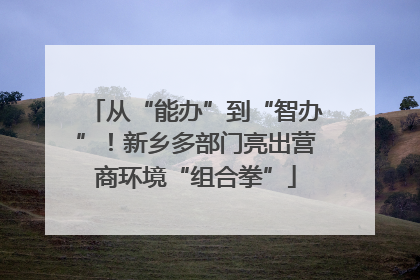 从“能办”到“智办”！新乡多部门亮出营商环境“组合拳”
