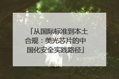 从国际标准到本土合规：美光芯片的中国化安全实践路径