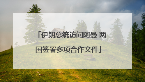 伊朗总统访问阿曼 两国签署多项合作文件