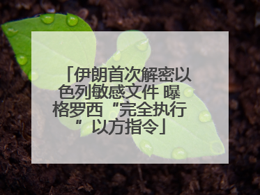 伊朗首次解密以色列敏感文件 曝格罗西“完全执行”以方指令