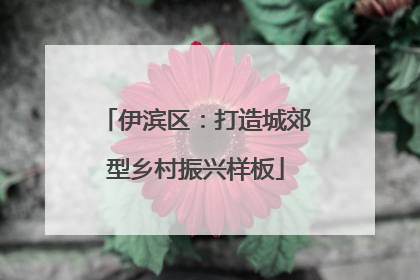 伊滨区：打造城郊型乡村振兴样板