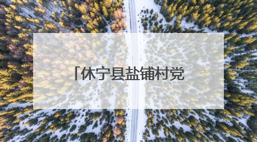 休宁县盐铺村党建引领绘就“花开盐铺”新图景