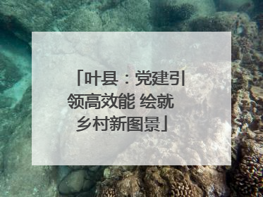 叶县：党建引领高效能 绘就乡村新图景