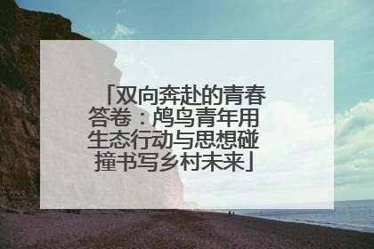 双向奔赴的青春答卷：鸬鸟青年用生态行动与思想碰撞书写乡村未来