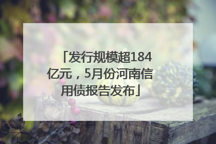 发行规模超184亿元，5月份河南信用债报告发布