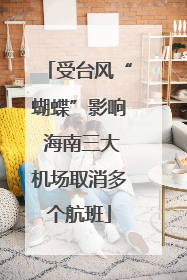 受台风“蝴蝶”影响 海南三大机场取消多个航班
