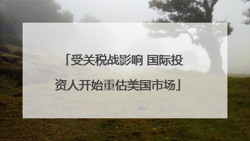 受关税战影响 国际投资人开始重估美国市场