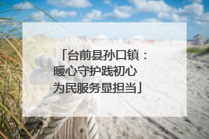 台前县孙口镇：暖心守护践初心 为民服务显担当