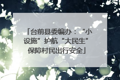 台前县委编办：“小设施”护航“大民生” 保障村民出行安全