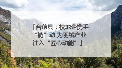 台前县：校地企携手“链”动 为羽绒产业注入“匠心动能”