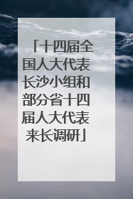 十四届全国人大代表长沙小组和部分省十四届人大代表来长调研
