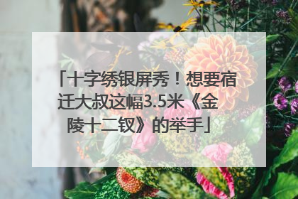 十字绣银屏秀！想要宿迁大叔这幅3.5米《金陵十二钗》的举手