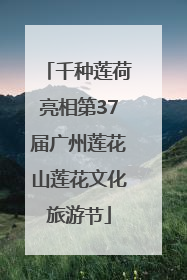 千种莲荷亮相第37届广州莲花山莲花文化旅游节