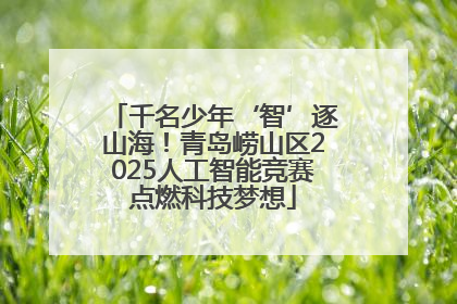 千名少年‘智’逐山海！青岛崂山区2025人工智能竞赛点燃科技梦想