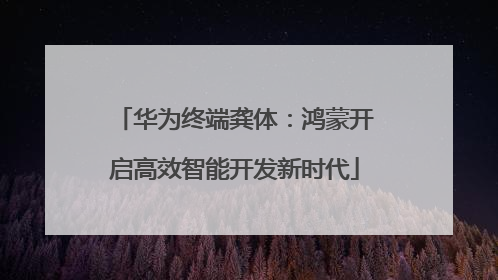 华为终端龚体：鸿蒙开启高效智能开发新时代