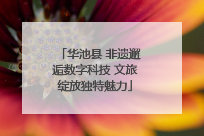 华池县 非遗邂逅数字科技 文旅绽放独特魅力
