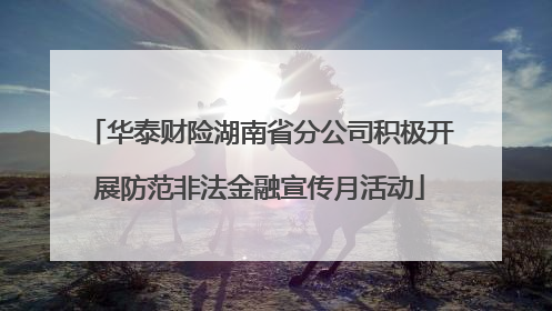 华泰财险湖南省分公司积极开展防范非法金融宣传月活动