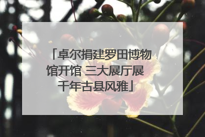 卓尔捐建罗田博物馆开馆 三大展厅展千年古县风雅
