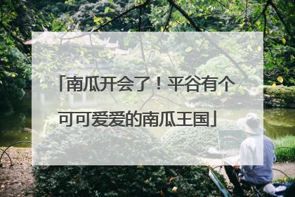 南瓜开会了！平谷有个可可爱爱的南瓜王国