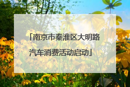 南京市秦淮区大明路汽车消费活动启动