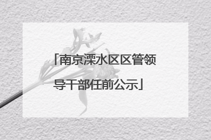 南京溧水区区管领导干部任前公示
