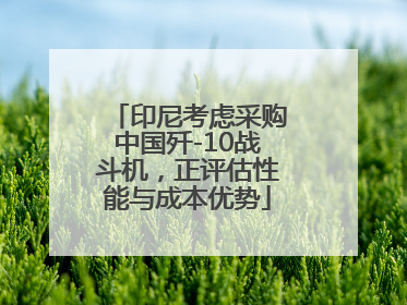 印尼考虑采购中国歼-10战斗机，正评估性能与成本优势
