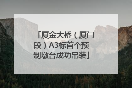 厦金大桥（厦门段）A3标首个预制墩台成功吊装