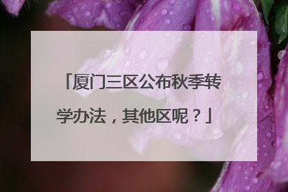 厦门三区公布秋季转学办法，其他区呢？